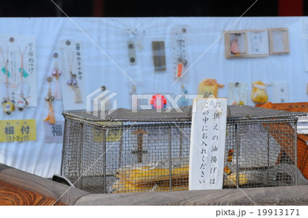 東伏見稲荷神社 19913171