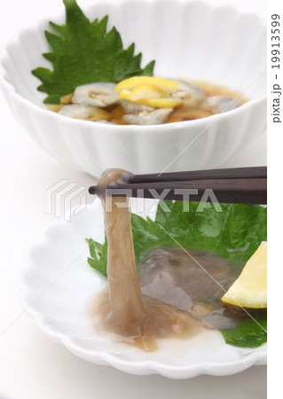 海鼠腸 なまこ酢 海鼠腸 なまこ酢 19913599