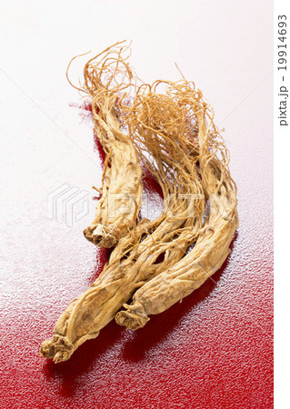 高麗人参 19914693