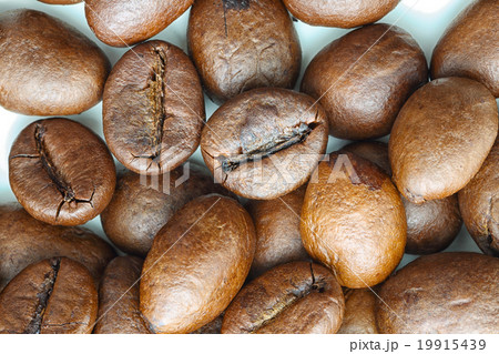 coffee beans background 19915439