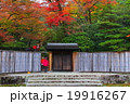 紅葉 19916267