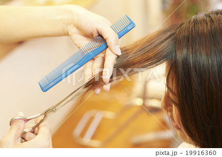 美容室 美容室 19916360