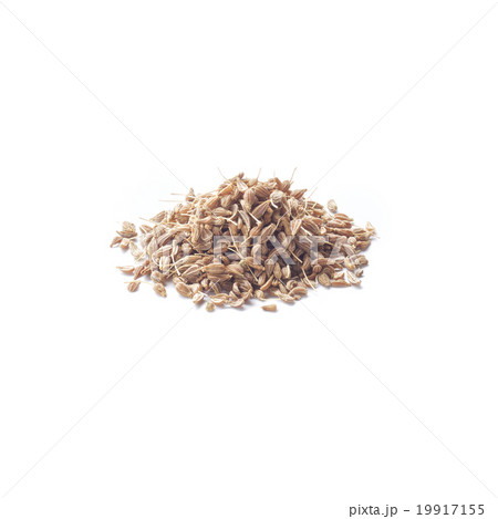 アニス アニス 19917155