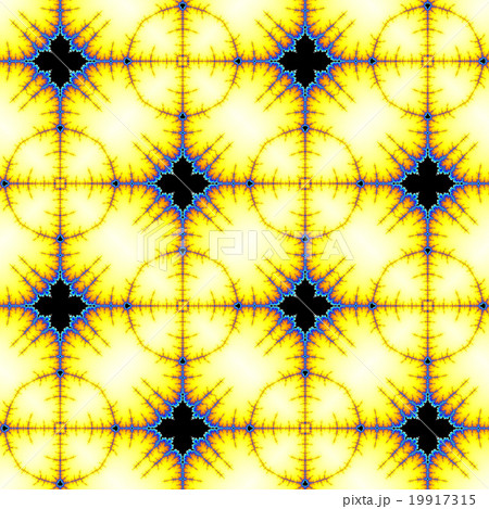 Fractal floral pattern Fractal floral pattern 19917315