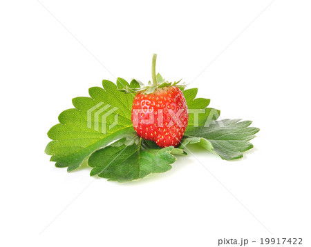 Strawberries on wood texture Strawberries on wood texture 19917422