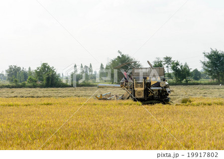 harvester 19917802