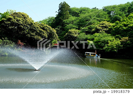 高岡古城公園 4 高岡古城公園 4 19918379