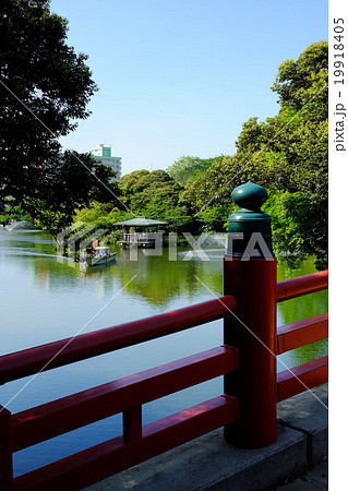 高岡古城公園  13 19918405