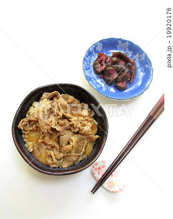 牛丼 牛丼 19920176