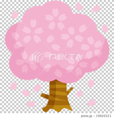 桜の木A 19920321