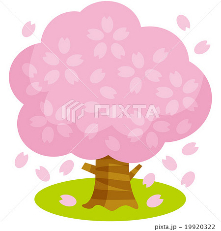 桜の木bのイラスト素材