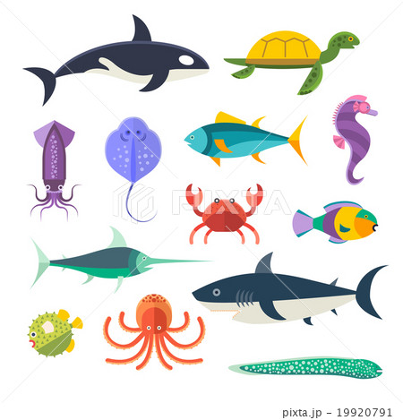 Vector set of sea marine fish and animals Vector set of sea marine fish and animals 19920791