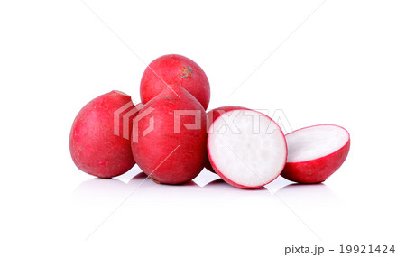 radish isolated on a white background radish isolated on a white background 19921424
