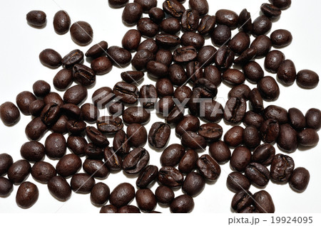 コーヒー豆 19924095