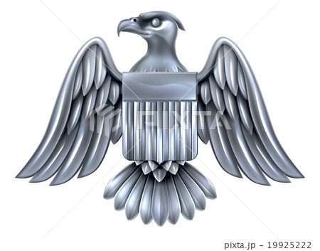 Silver American Eagle Shield 19925222