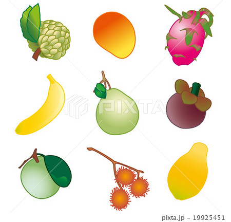 トロピカルフルーツ9種のイラスト素材