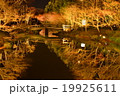 鏡池2 19925611
