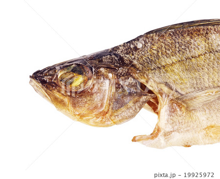 Salty Dried Fish 19925972