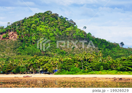 Rocky Shore Low Tide 19926029