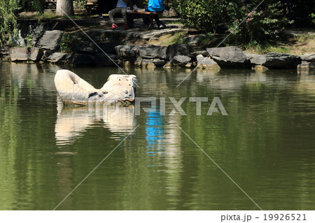 中国 未名湖燕園建築 翻尾石魚 中国 未名湖燕園建築 翻尾石魚 19926521