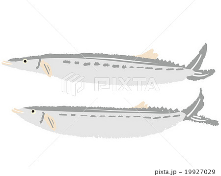 さんま二尾 19927029