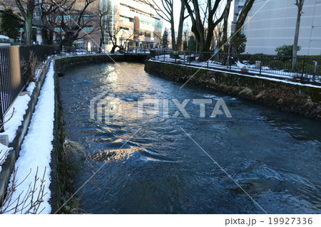 冬の広瀬川 19927336