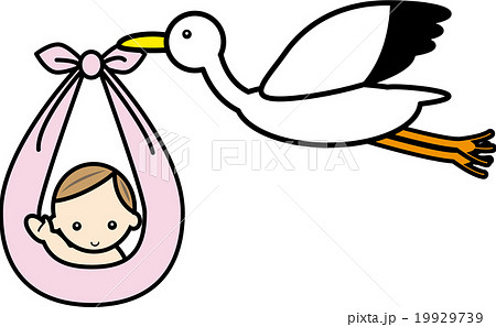 赤ちゃんを運ぶコウノトリのイラスト素材