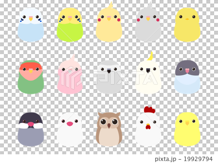 いろいろな小鳥のセット 19929794