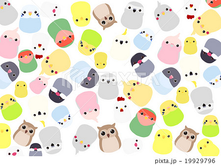 ぎっしりいろいろな小鳥たち 19929796