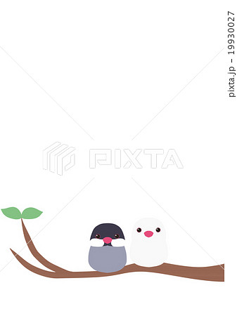 木にとまっている文鳥のイラスト素材 19930027 Pixta