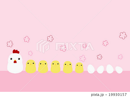 整列しているニワトリとヒヨコとタマゴ ピンクのイラスト素材