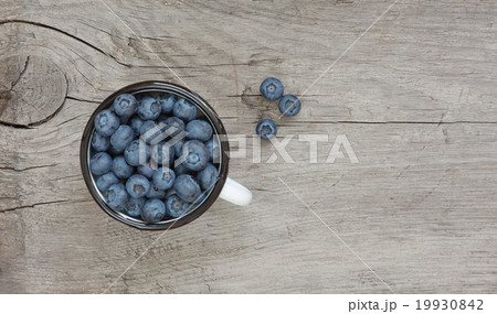 Blueberries in the enamel mug 19930842