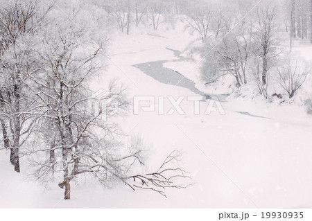 River in forest with hoarfrost, copy space River in forest with hoarfrost, copy space 19930935