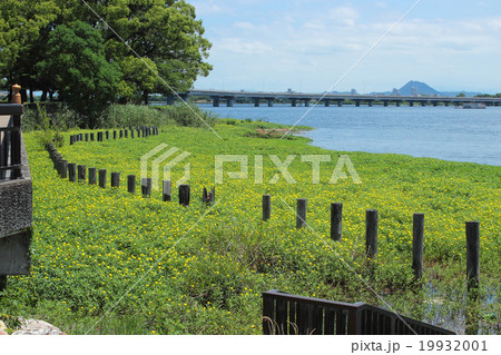 滋賀県　膳所公園から見た琵琶湖 19932001