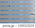 City buildings 19932029