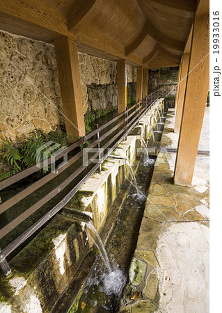 金武大川の湧水の写真素材