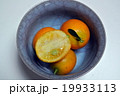金柑 19933113