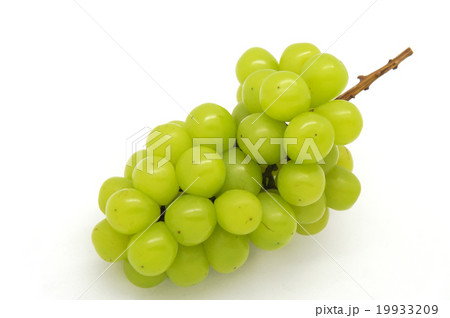 マスカット 19933209