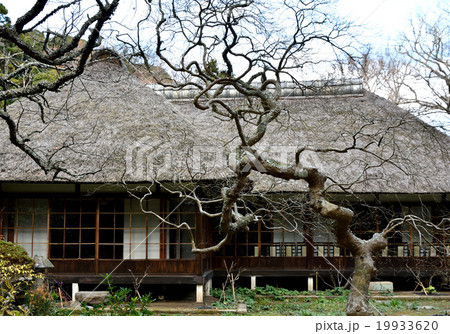 浄智寺の庭園 19933620
