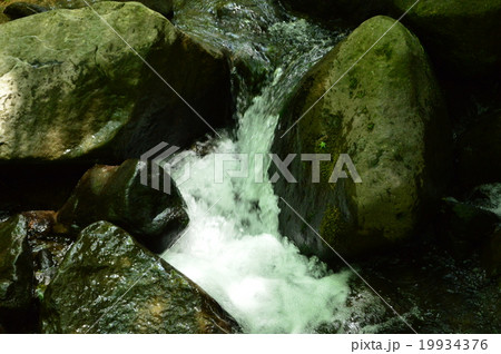 箱根　千条（ちすじ）の滝 19934376