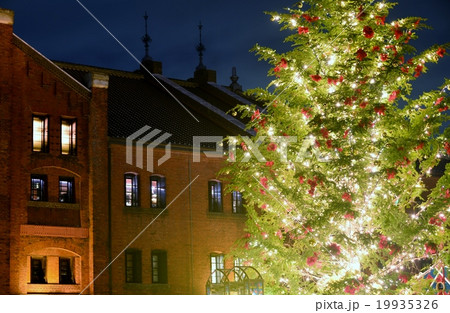 横浜のクリスマス-5 横浜のクリスマス-5 19935326