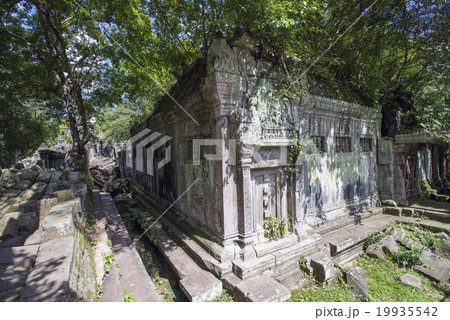 カンボジア　シェムリアップ　ベンメリア遺跡 19935542