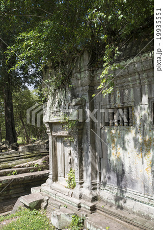 カンボジア　シェムリアップ　ベンメリア遺跡 19935551
