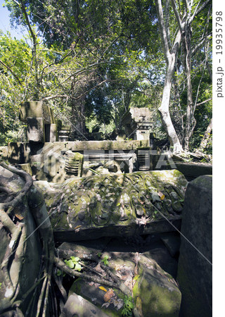 カンボジア シェムリアップ ベンメリア遺跡 カンボジア シェムリアップ ベンメリア遺跡 19935798