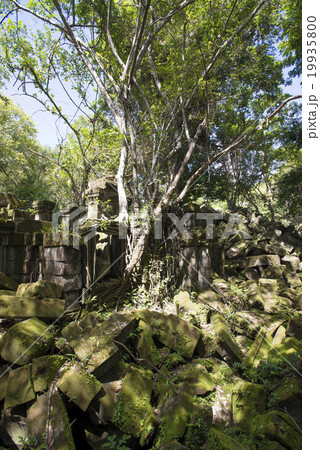カンボジア　シェムリアップ　ベンメリア遺跡 19935800