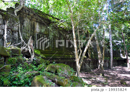 カンボジア シェムリアップ ベンメリア遺跡 カンボジア シェムリアップ ベンメリア遺跡 19935824