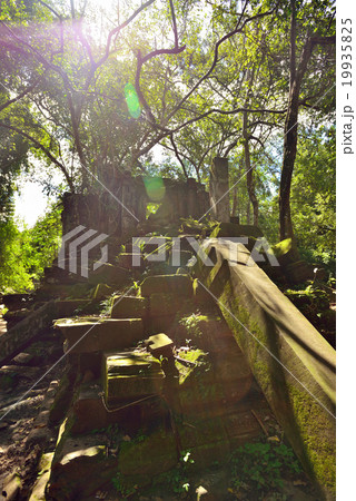 カンボジア シェムリアップ ベンメリア遺跡 カンボジア シェムリアップ ベンメリア遺跡 19935825