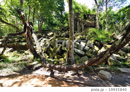 カンボジア　シェムリアップ　ベンメリア遺跡 19935840