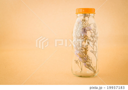 Beautiful violet dried flower in the bottle 19937183