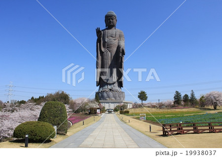 牛久大仏 牛久大仏 19938037